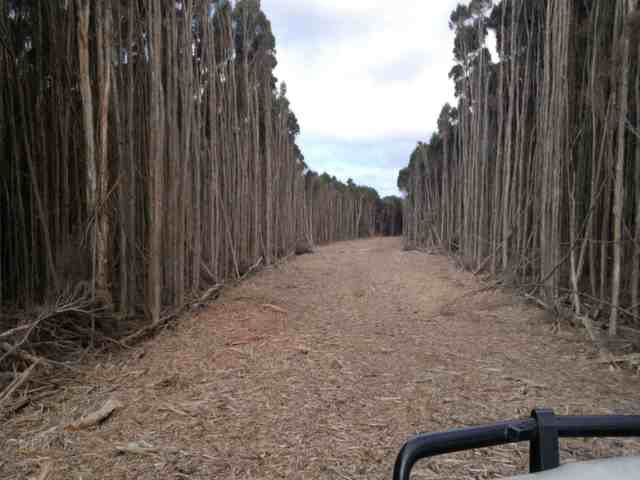 Creating an easement