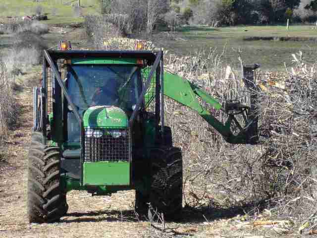 Cutting trees into hedges with our John Deere tractor