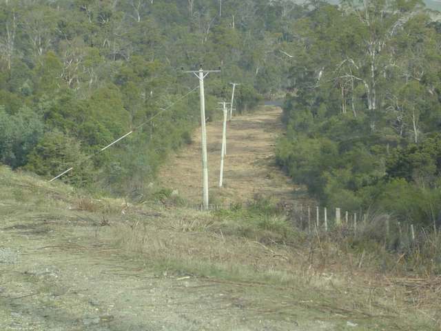 Easement clearing before