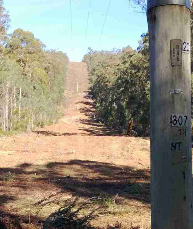 Photo of hill after clearing