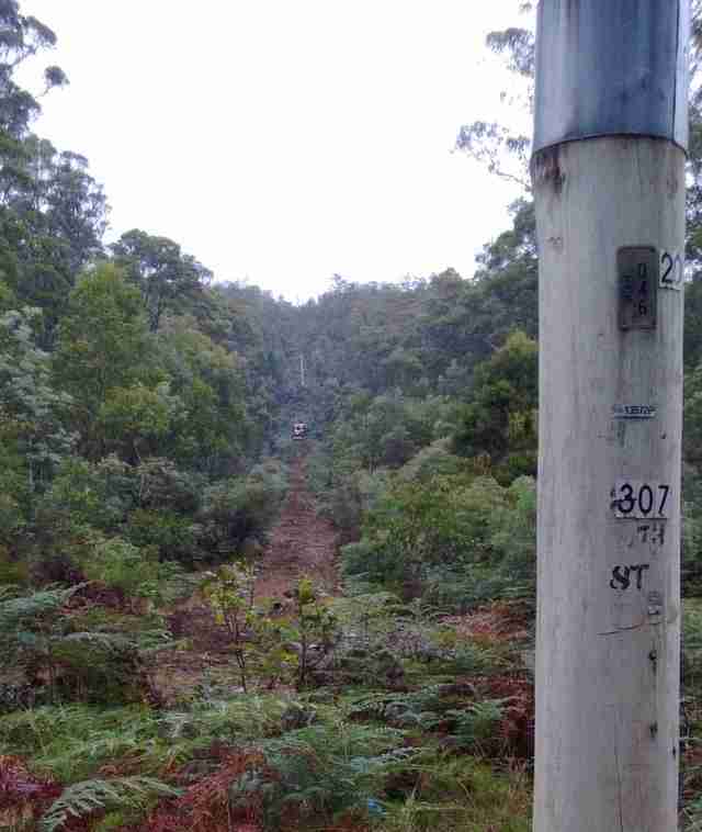 Photo of hill before clearing