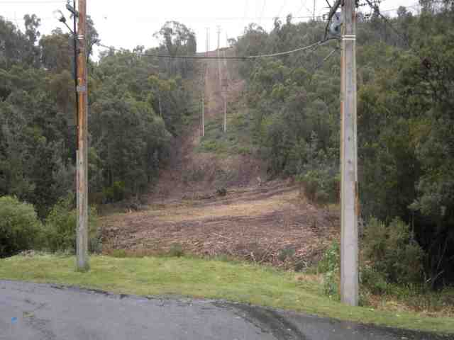 Photo of steep hill after clearing