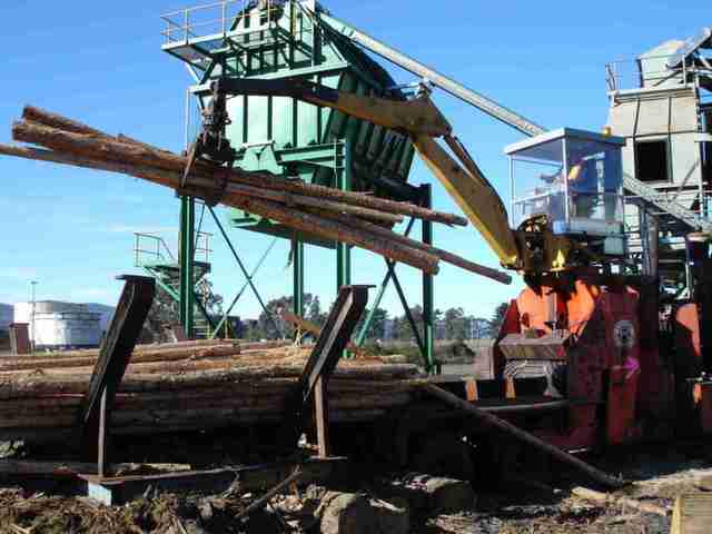 Our whole tree chipper in action