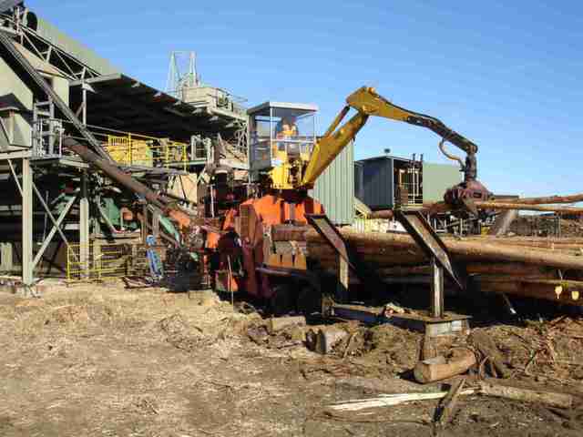 Our whole tree chipper in action